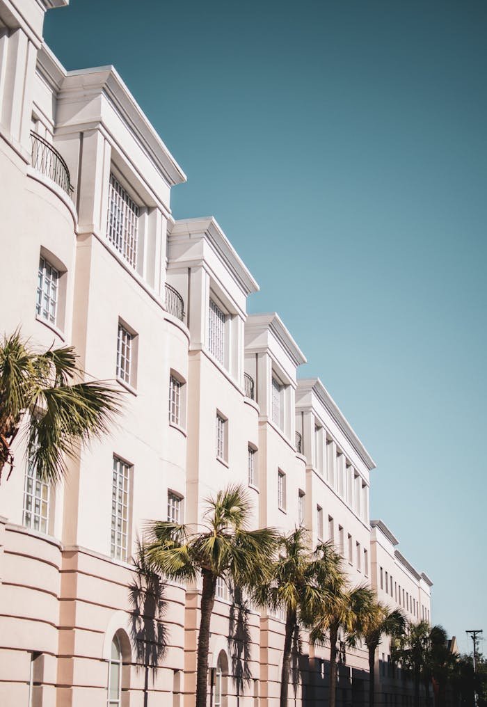 Aruba Bright modern building facade with palm trees against a clear blue sky.